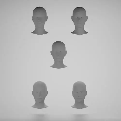 Base mesh 5 female heads 3D Model Collection