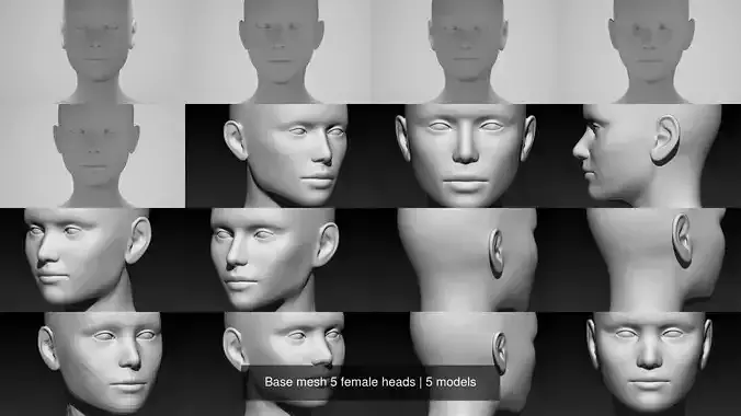 Base mesh 5 female heads