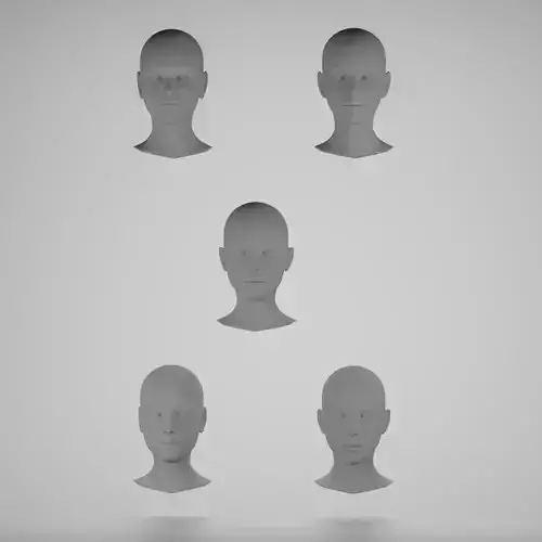 Base mesh 5 female heads 3D Model Collection