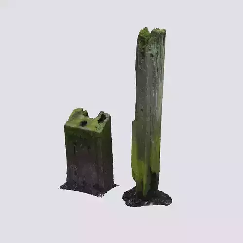 Photo-scanned Wooden Post Collection 3D model