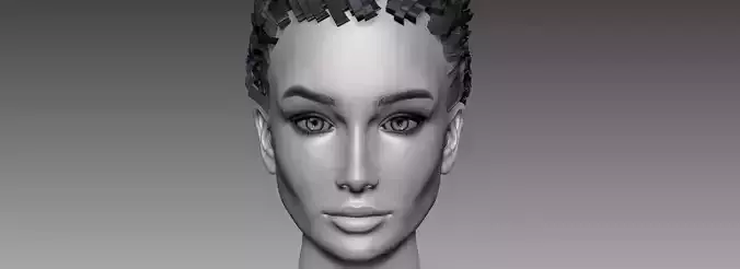 Beautiful Sexy Charismatic Woman Girl Head Female Base Mesh