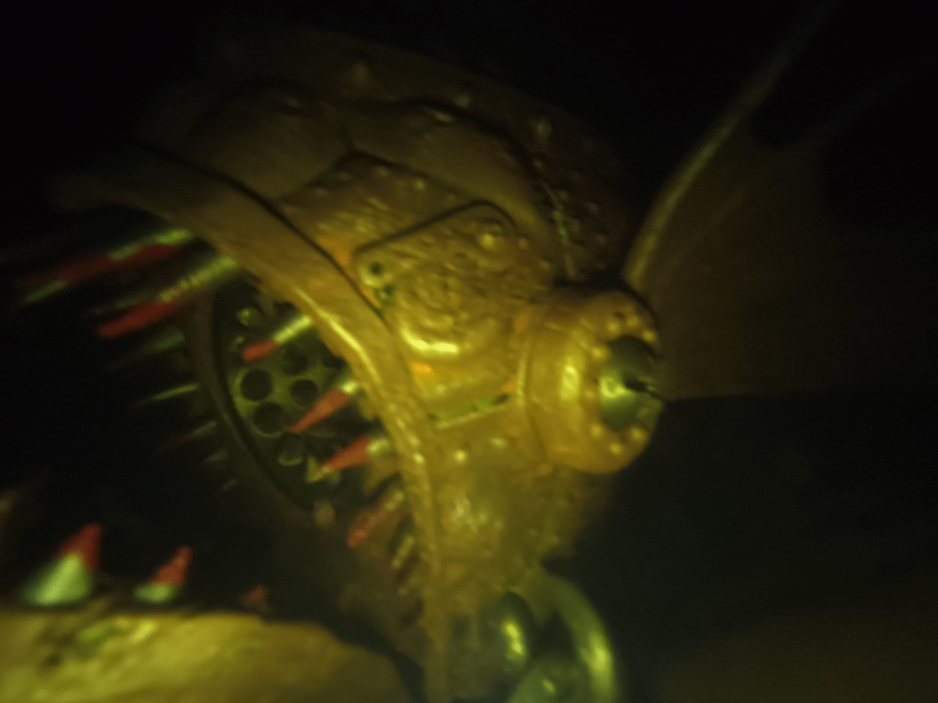 Mechanical Piranha 3D print model_6