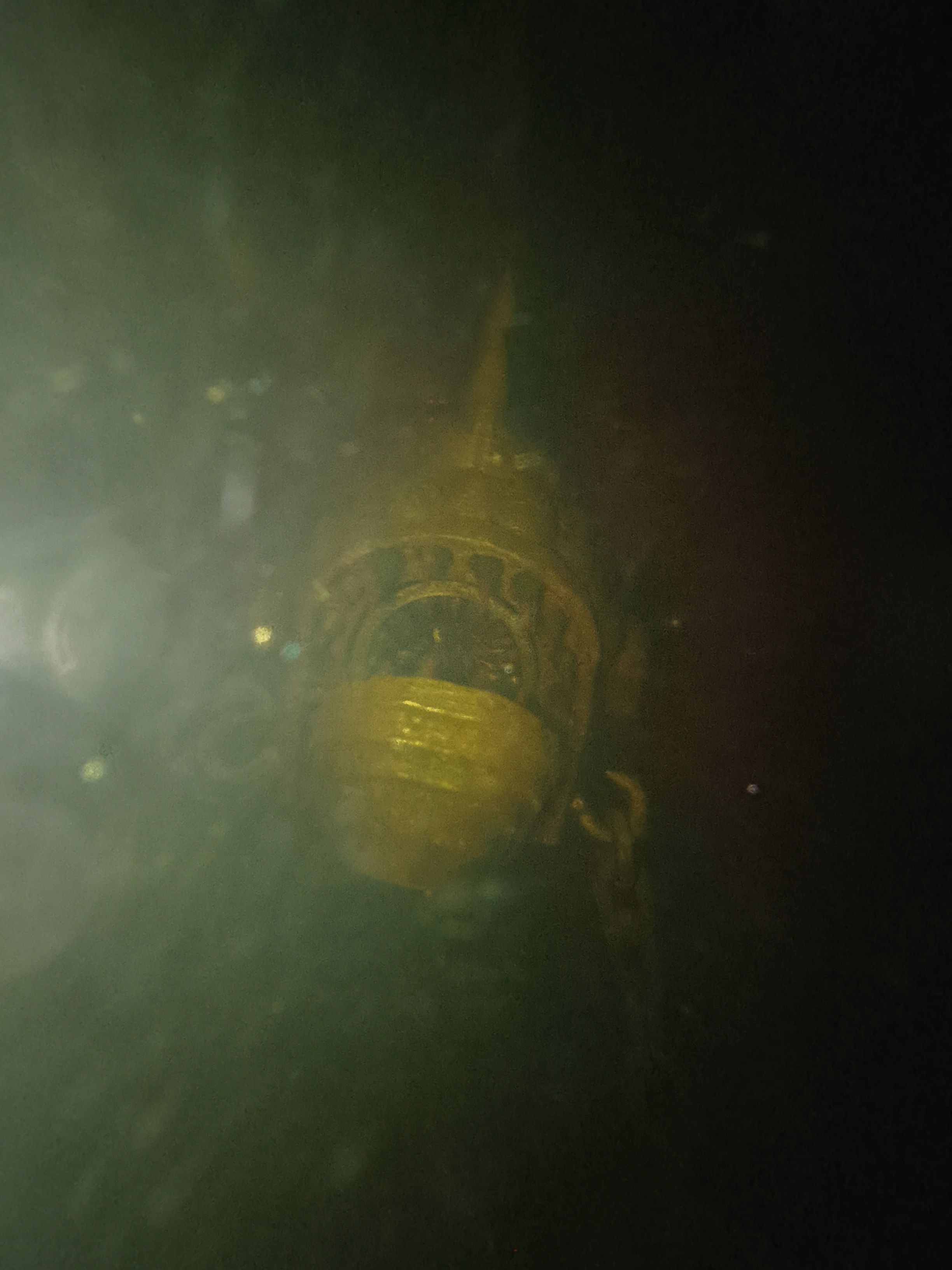 Mechanical Piranha 3D print model_3