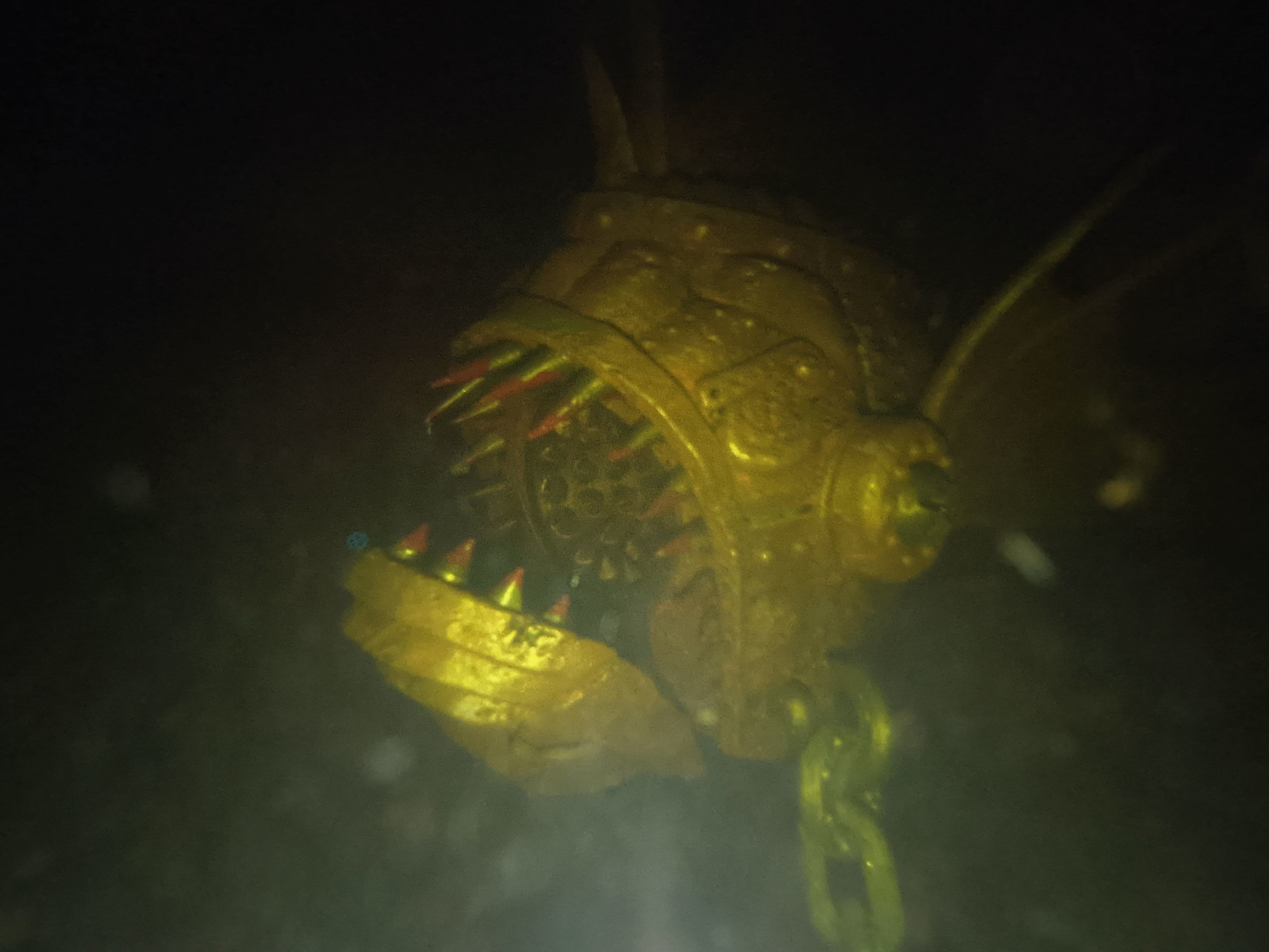 Mechanical Piranha 3D print model_7