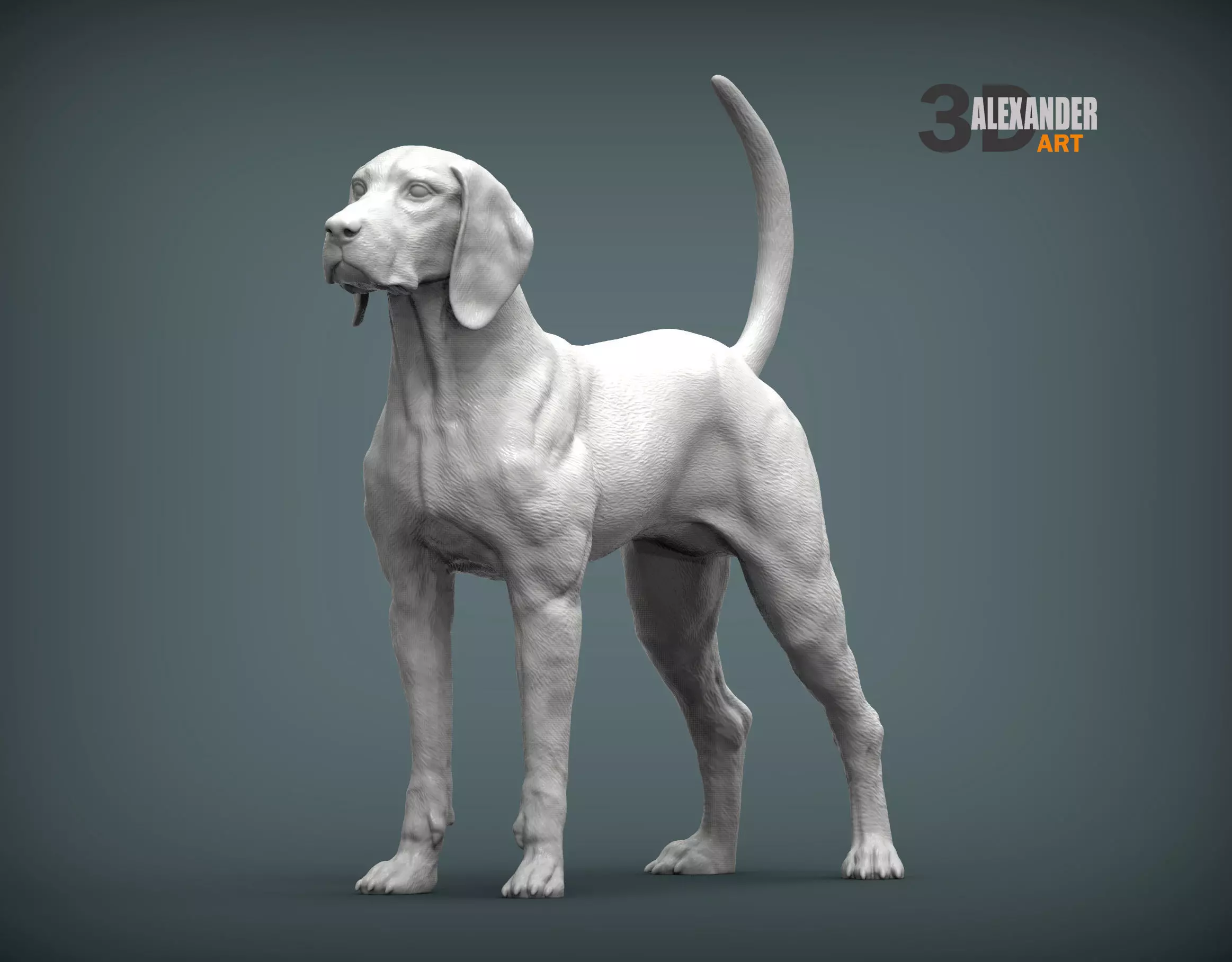 American English Coonhound 3D print model_0