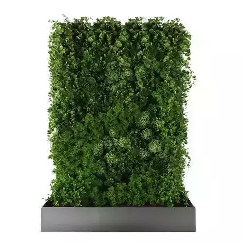 Vertical garden 205