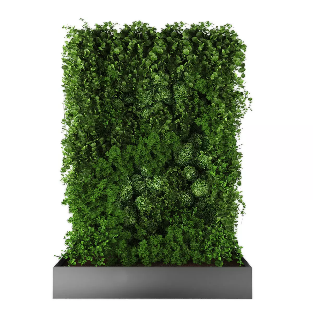 Vertical garden 205 Low-poly 3D model_0