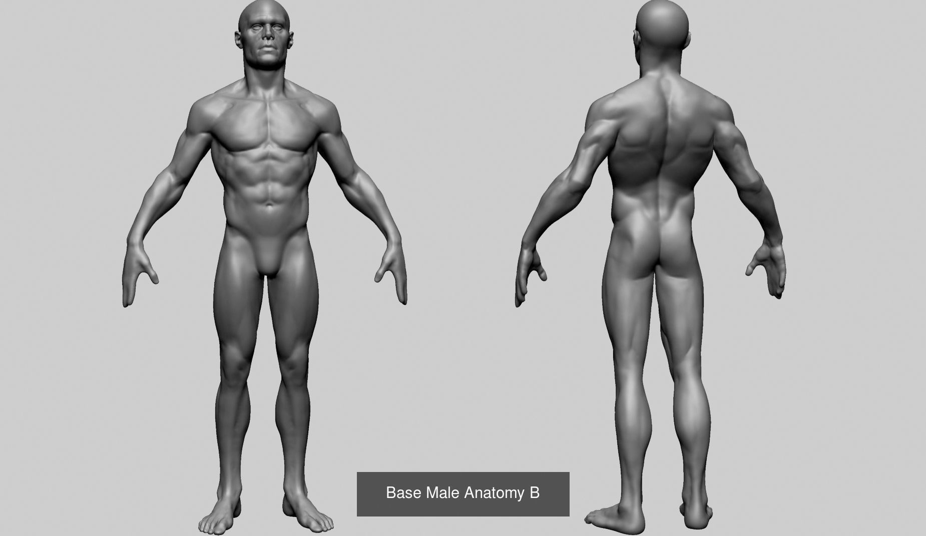 Female - Male Body and Head Models 3D Model Collection_16