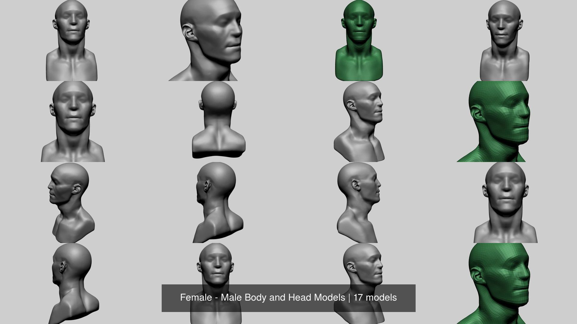 Female - Male Body and Head Models 3D Model Collection_3