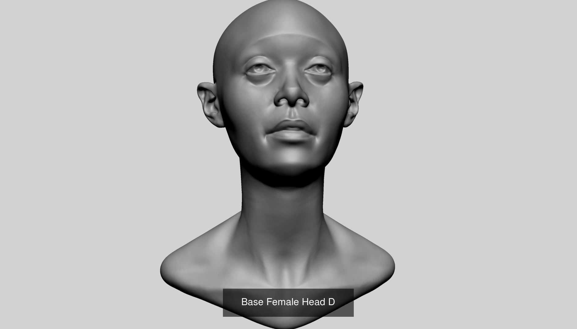 Female - Male Body and Head Models 3D Model Collection_11
