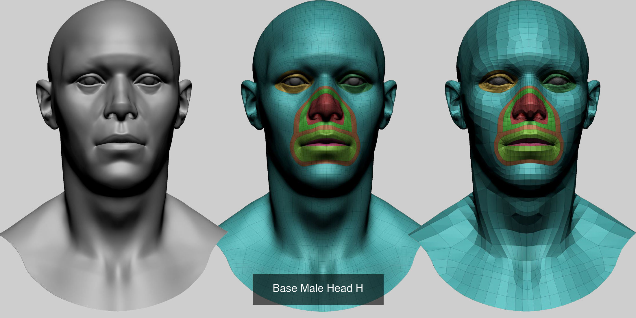 Female - Male Body and Head Models 3D Model Collection_13