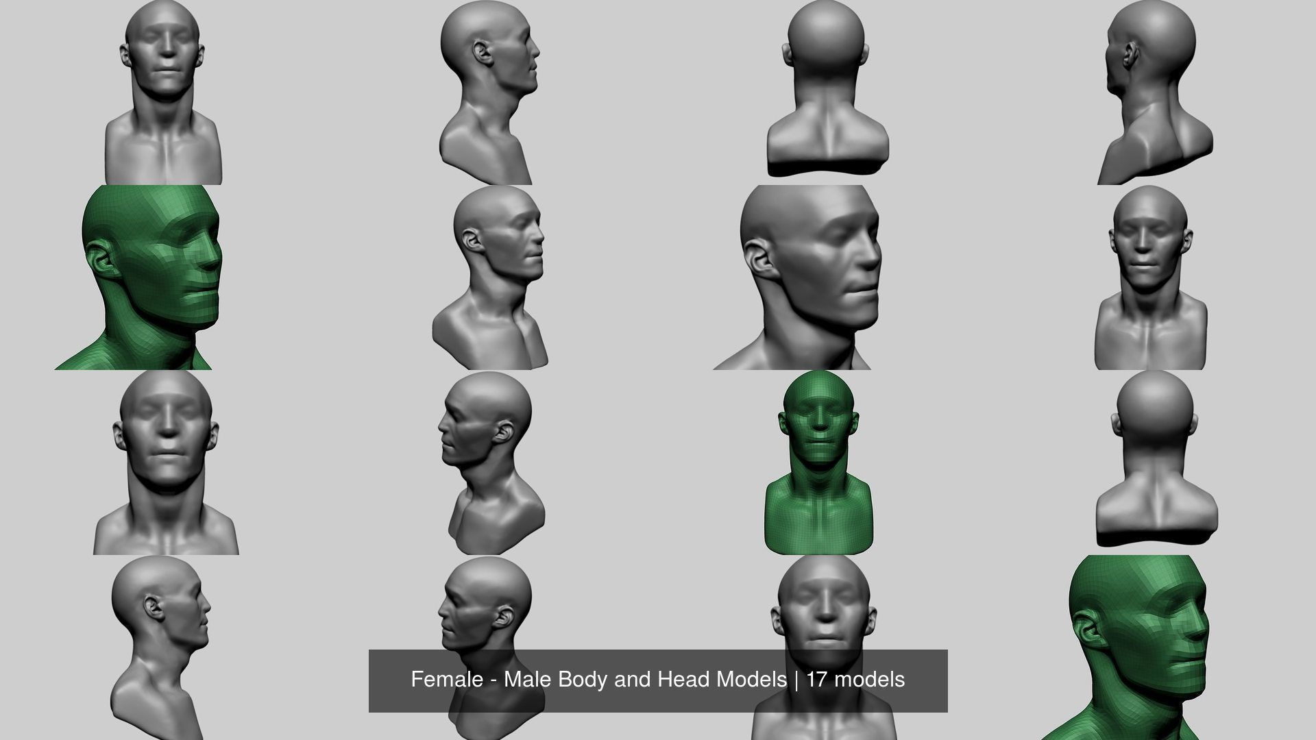Female - Male Body and Head Models 3D Model Collection_2