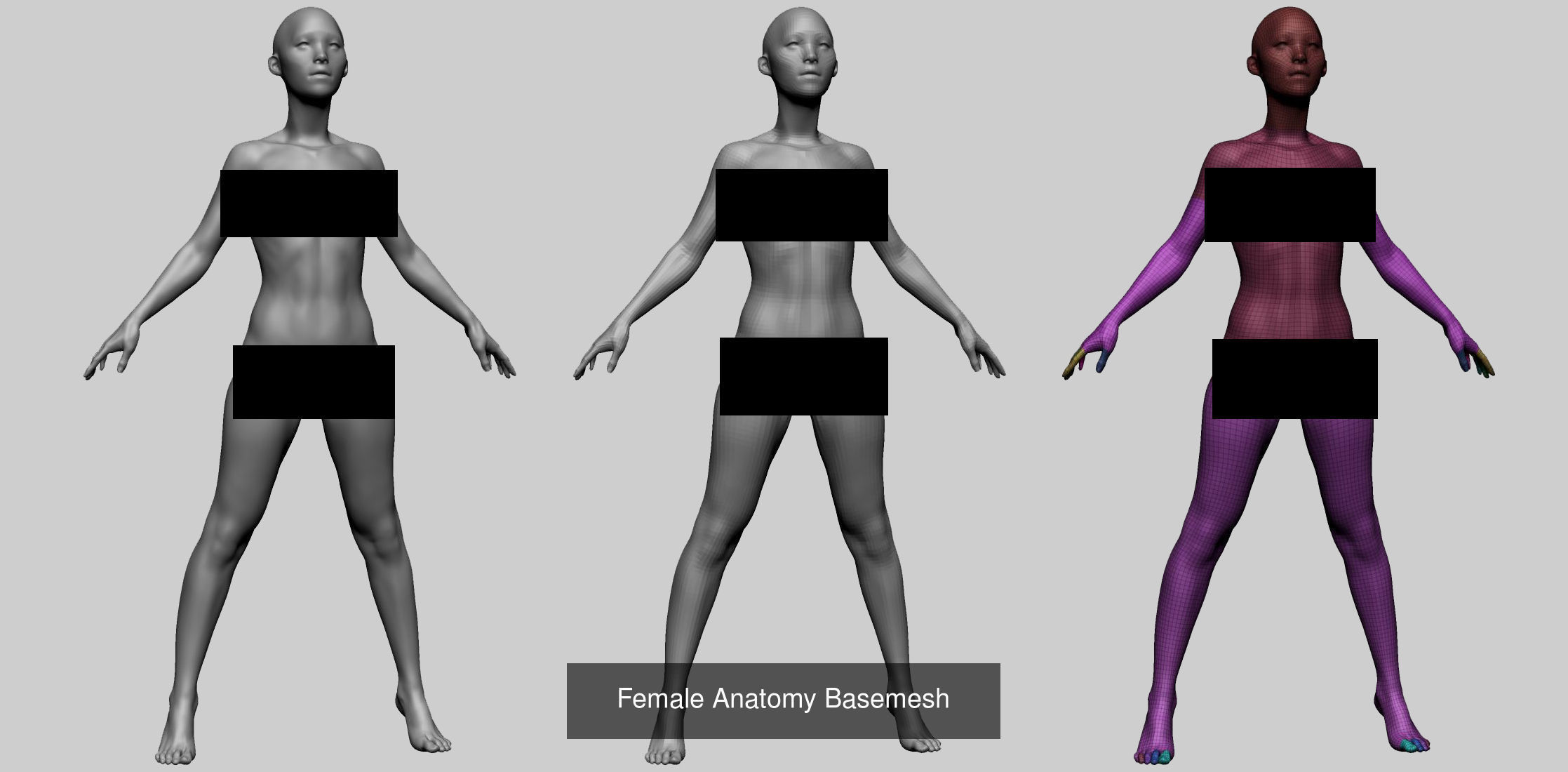 Female - Male Body and Head Models 3D Model Collection_7