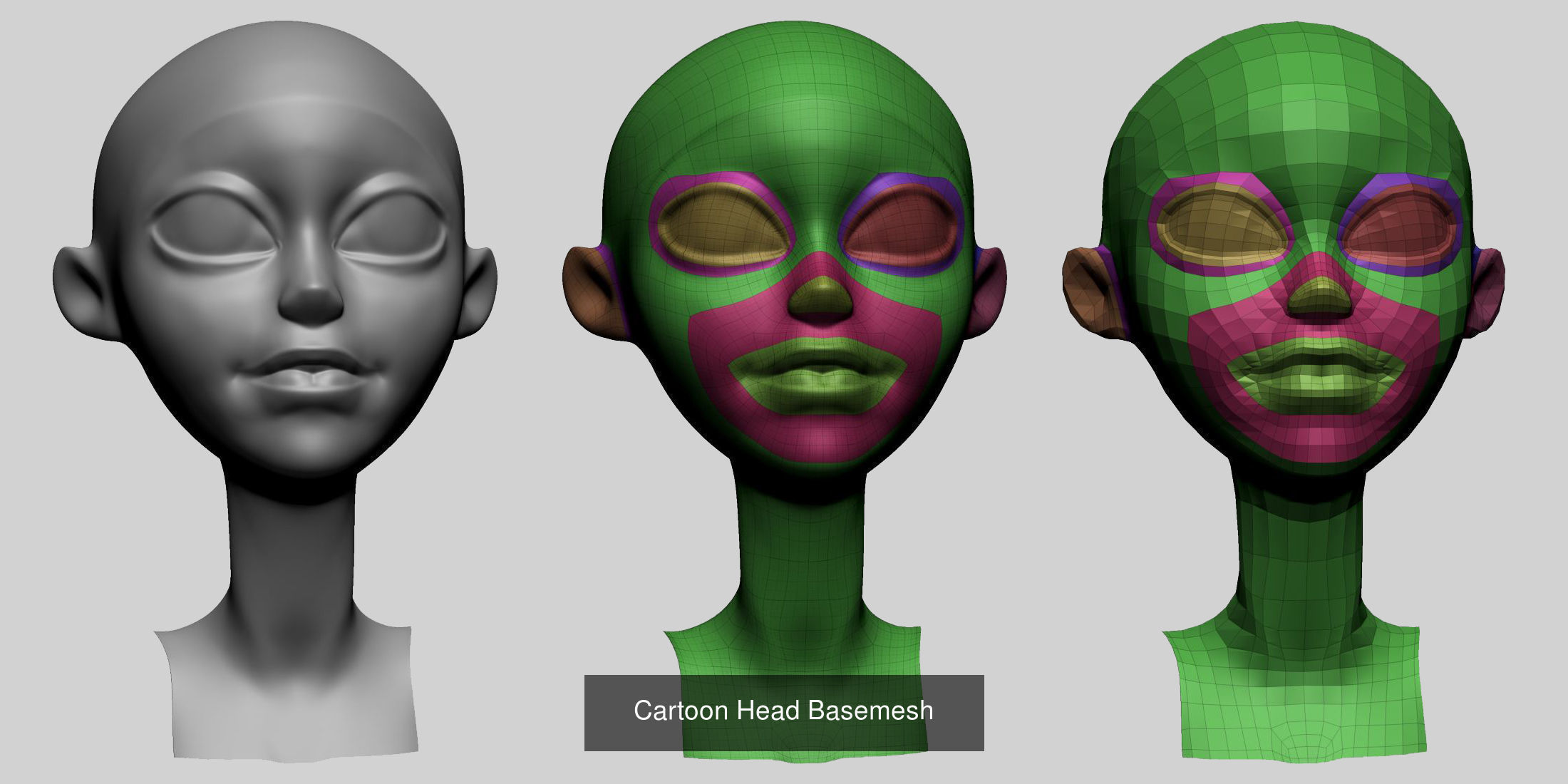 Female - Male Body and Head Models 3D Model Collection_12