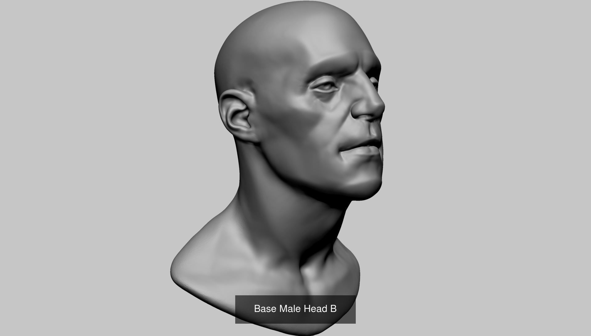 Female - Male Body and Head Models 3D Model Collection_5