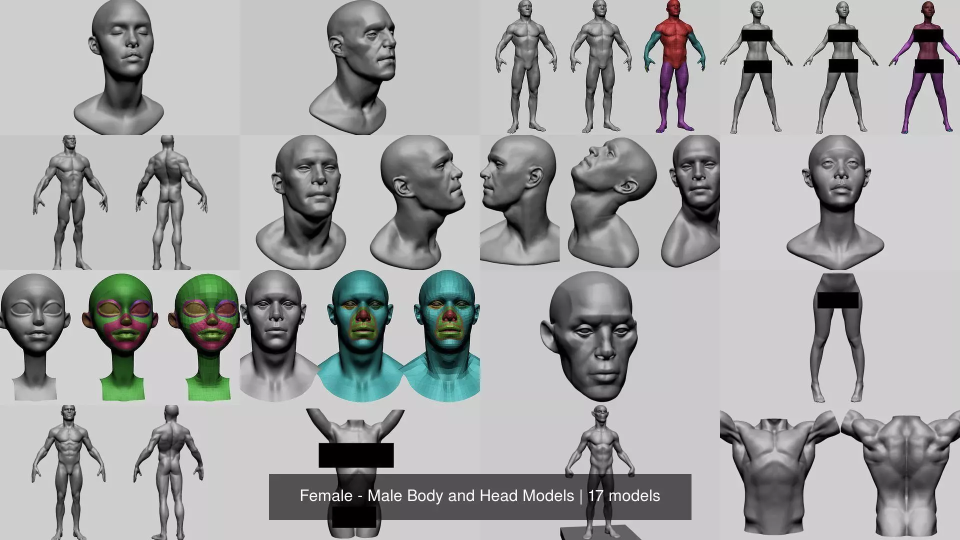 Female - Male Body and Head Models 3D Model Collection_1