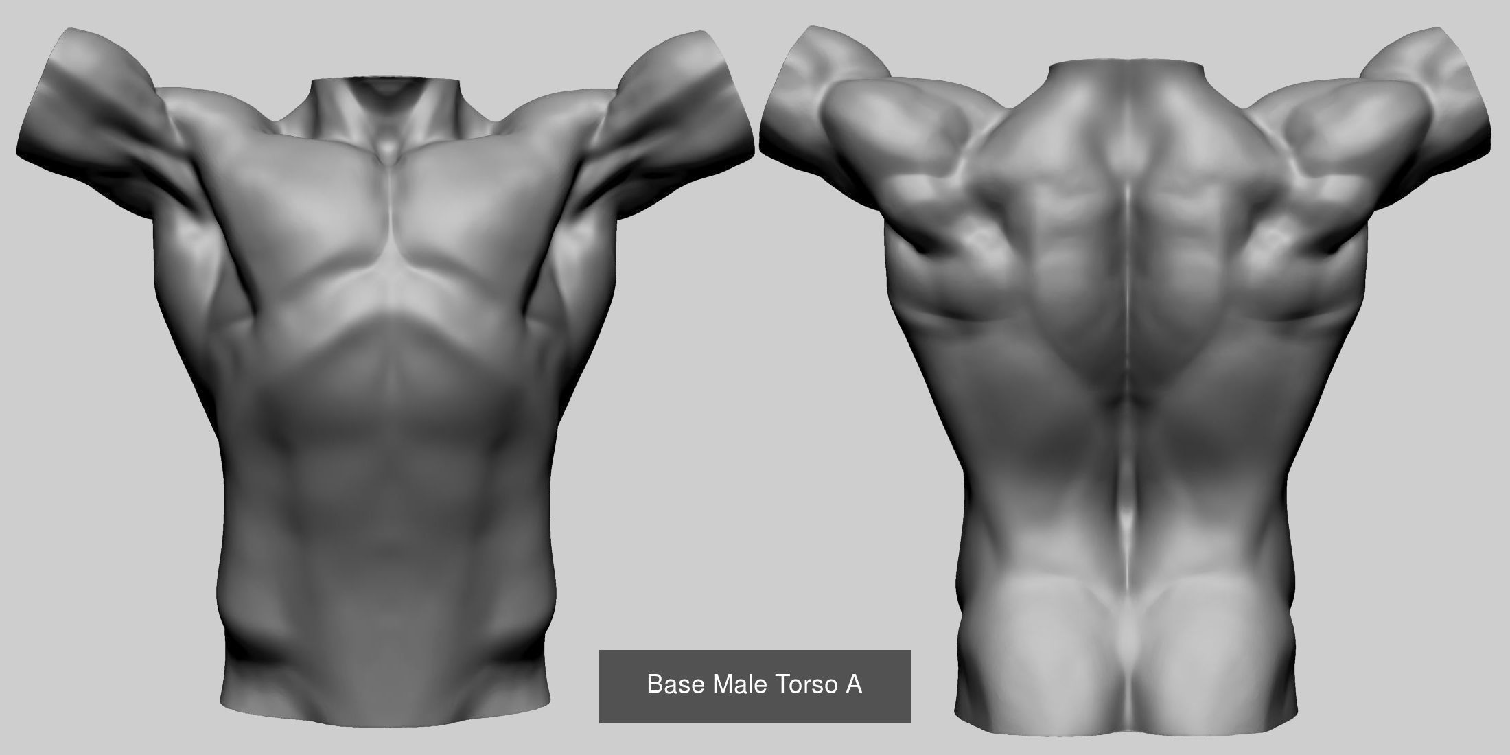 Female - Male Body and Head Models 3D Model Collection_19