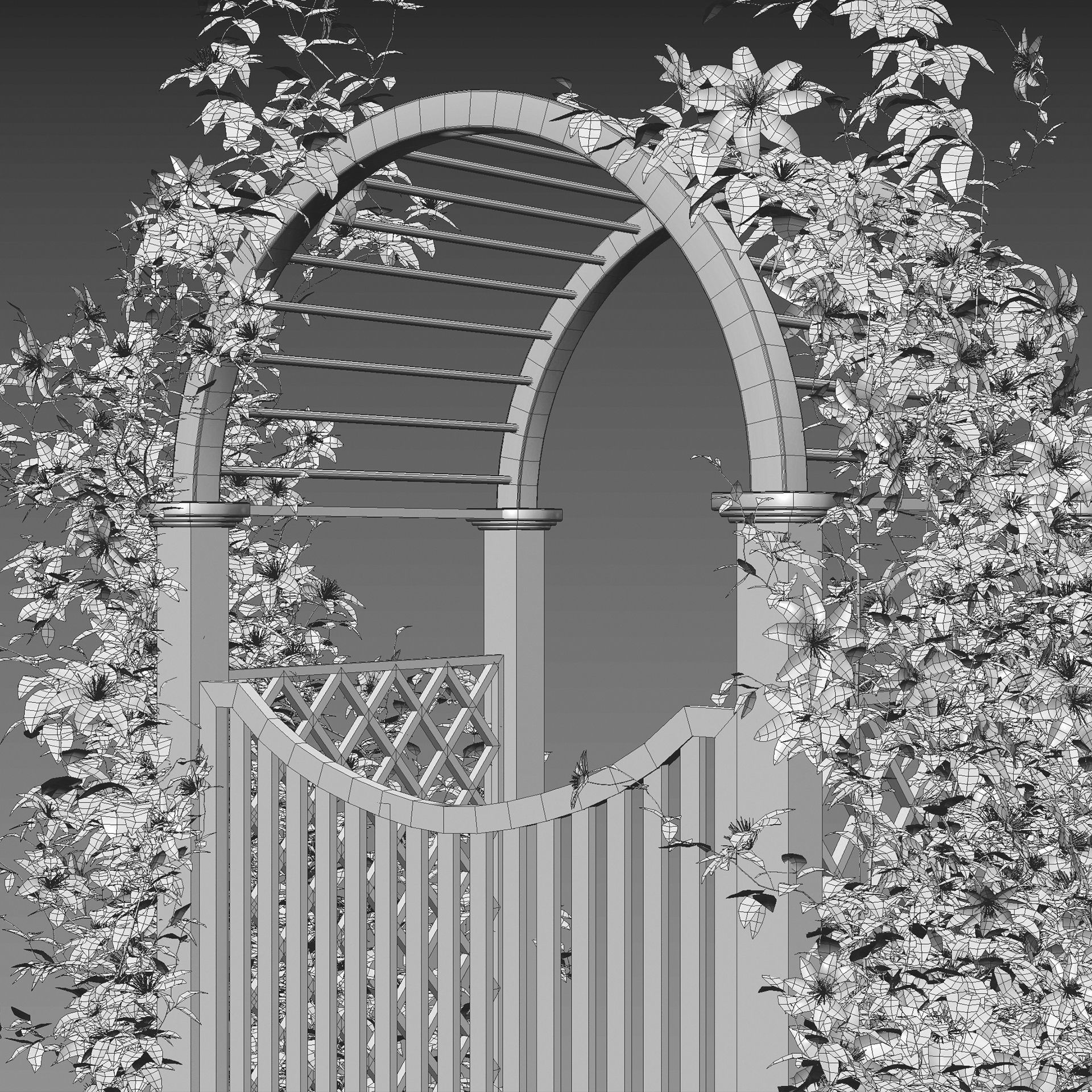Clematis Aotearoa - Creeper Gate 3D model_5