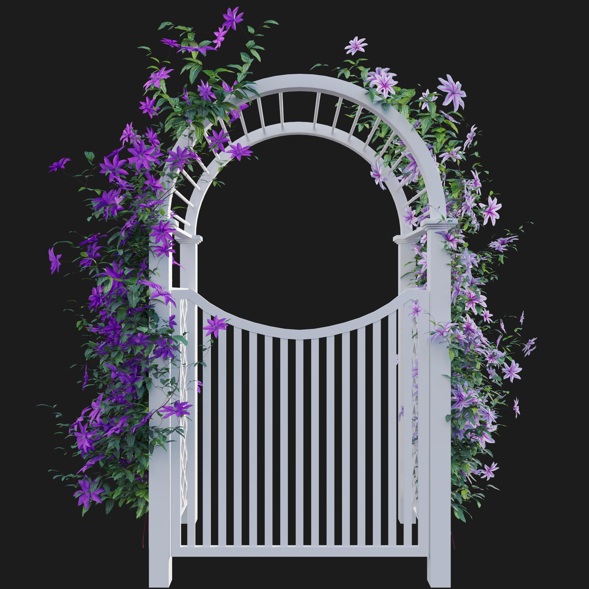Clematis Aotearoa - Creeper Gate 3D model_2