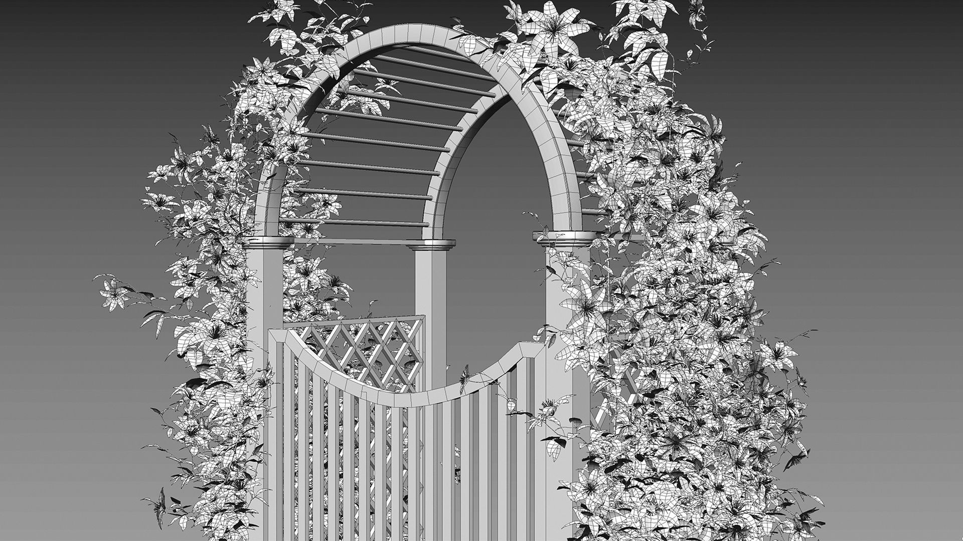 Clematis Aotearoa - Creeper Gate 3D model_11