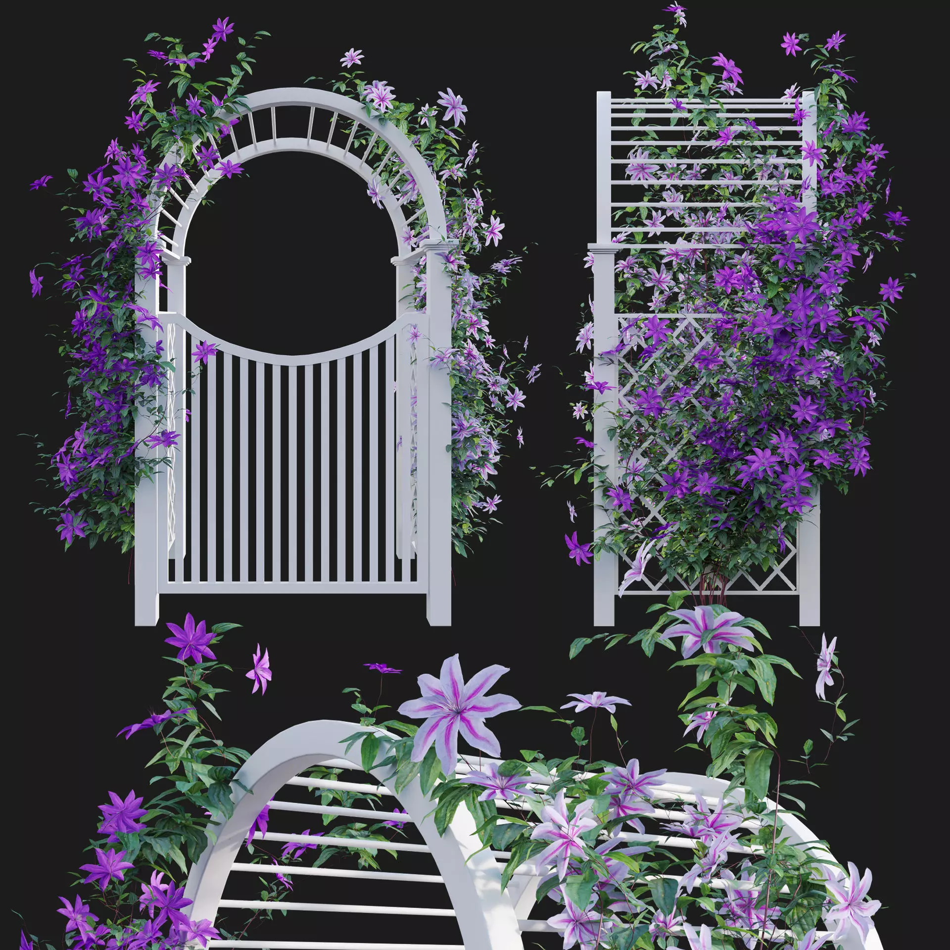Clematis Aotearoa - Creeper Gate 3D model_0