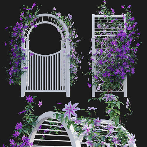 Clematis Aotearoa - Creeper Gate 3D model