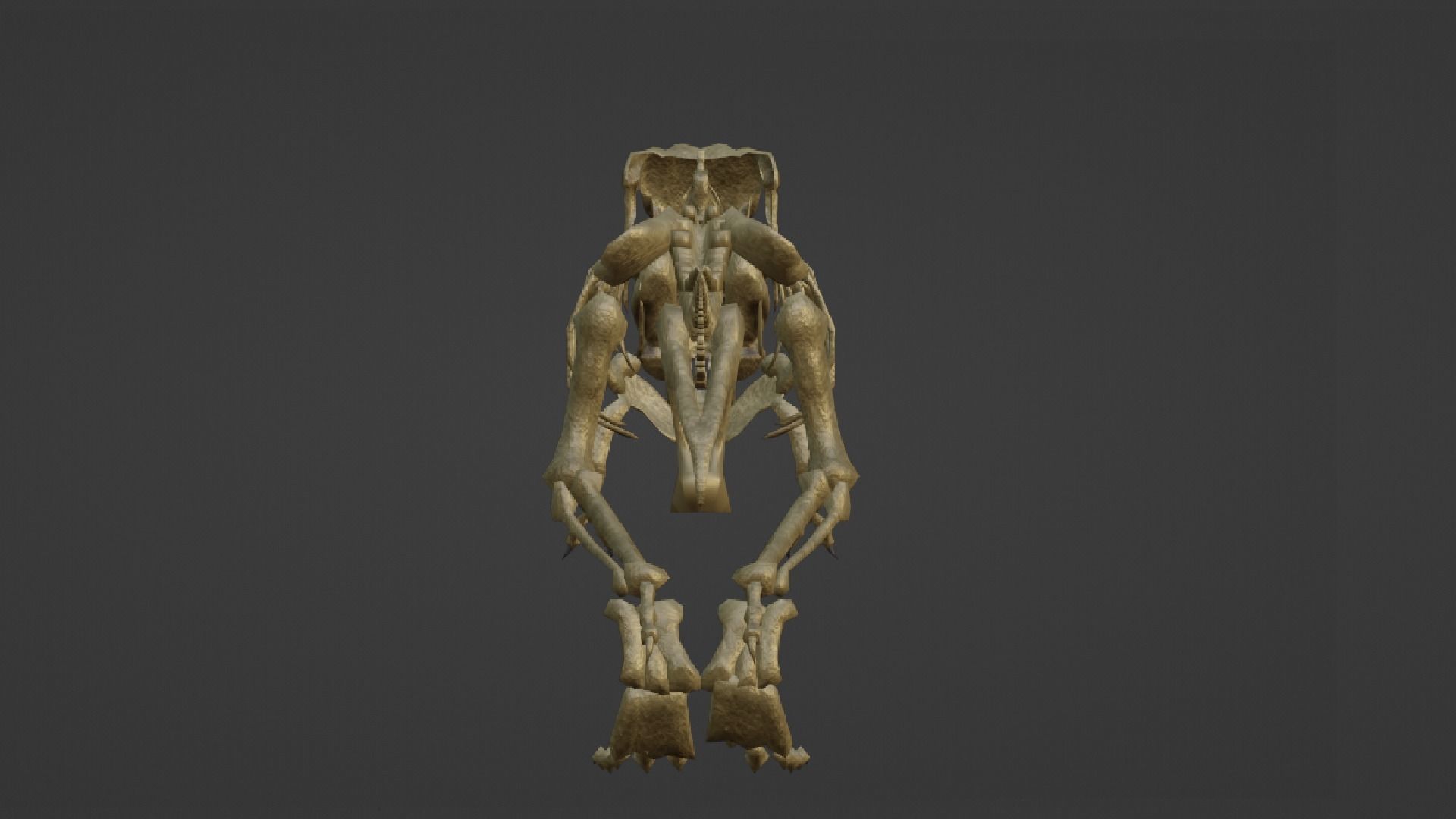 T-REX SKELETON Low-poly 3D model_23