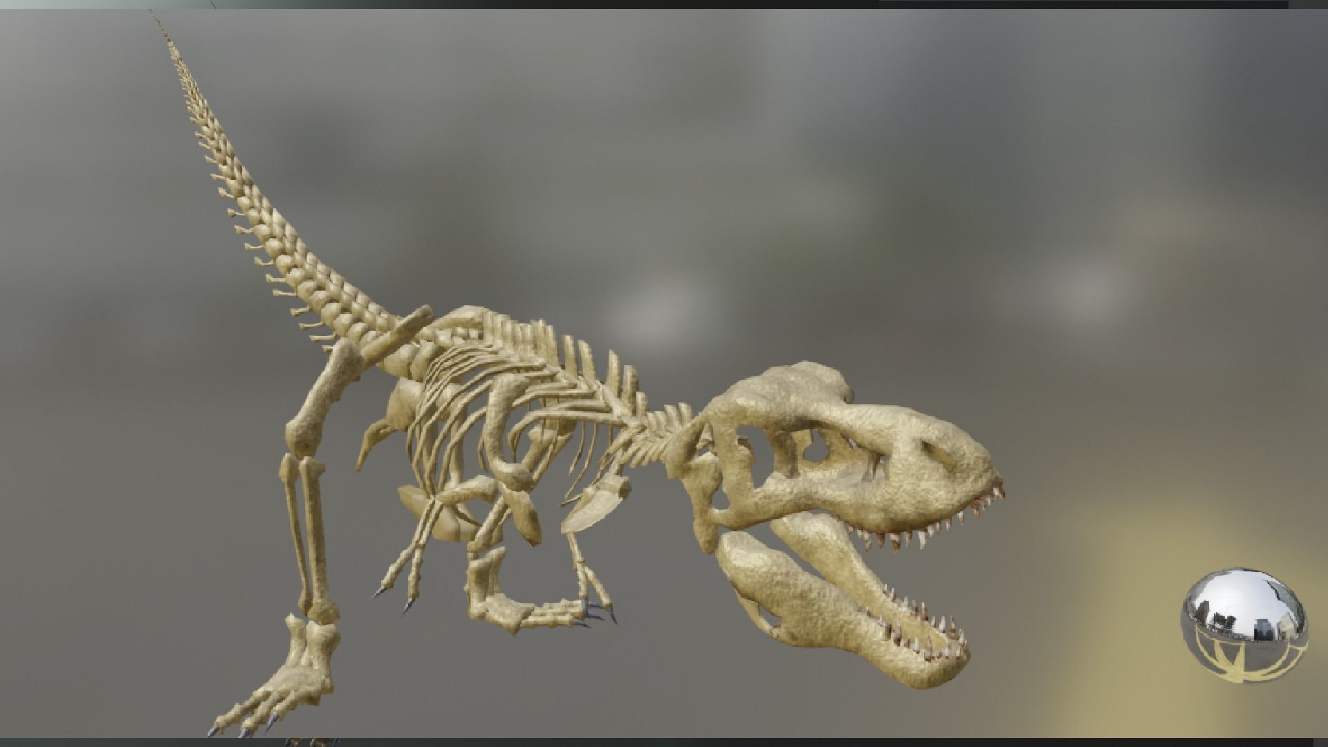 T-REX SKELETON Low-poly 3D model_12