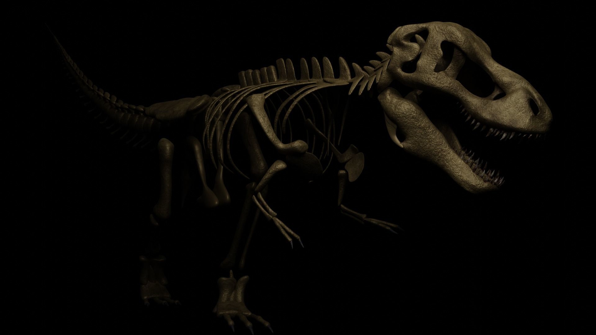 T-REX SKELETON Low-poly 3D model_3