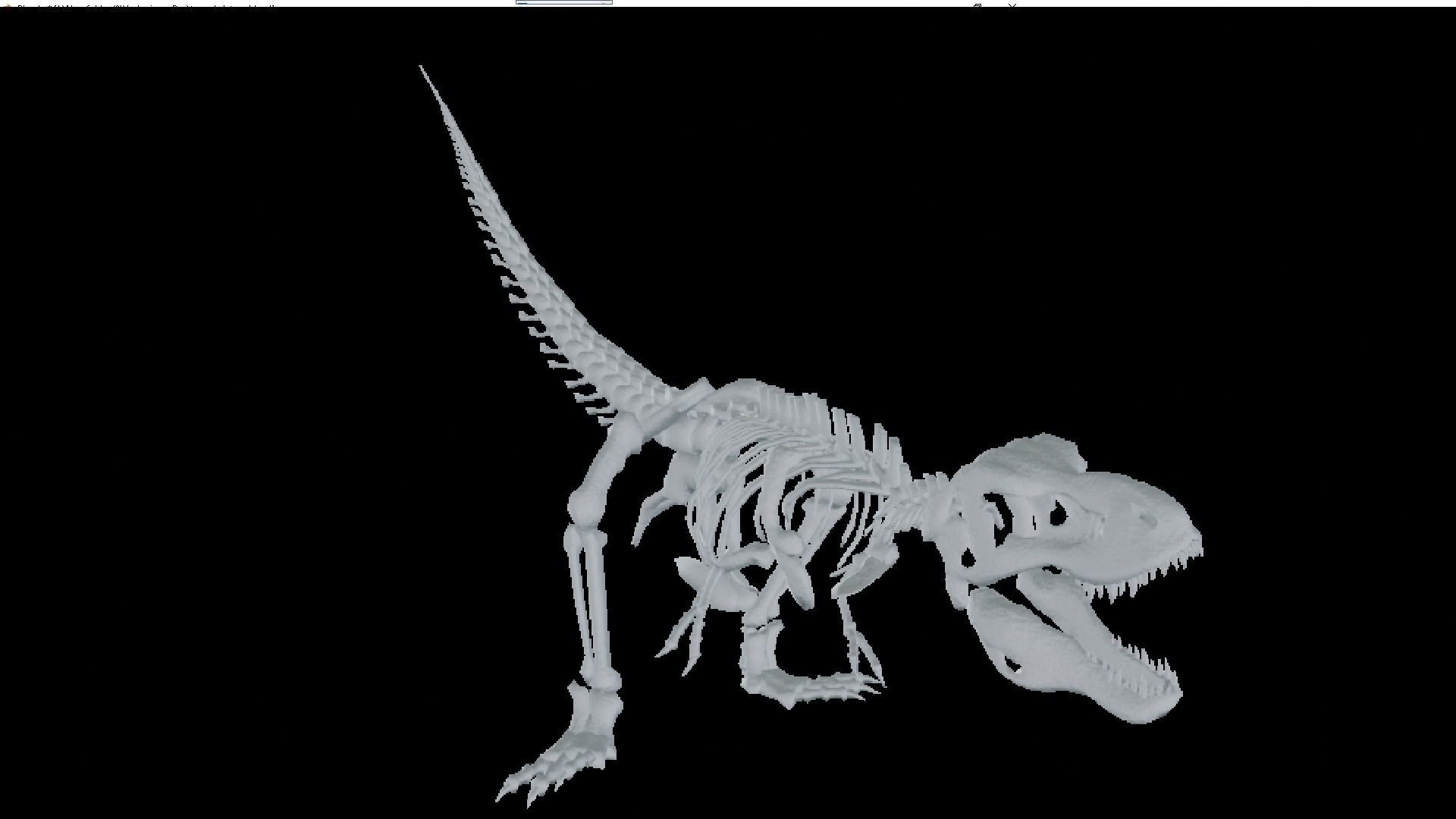 T-REX SKELETON Low-poly 3D model_14