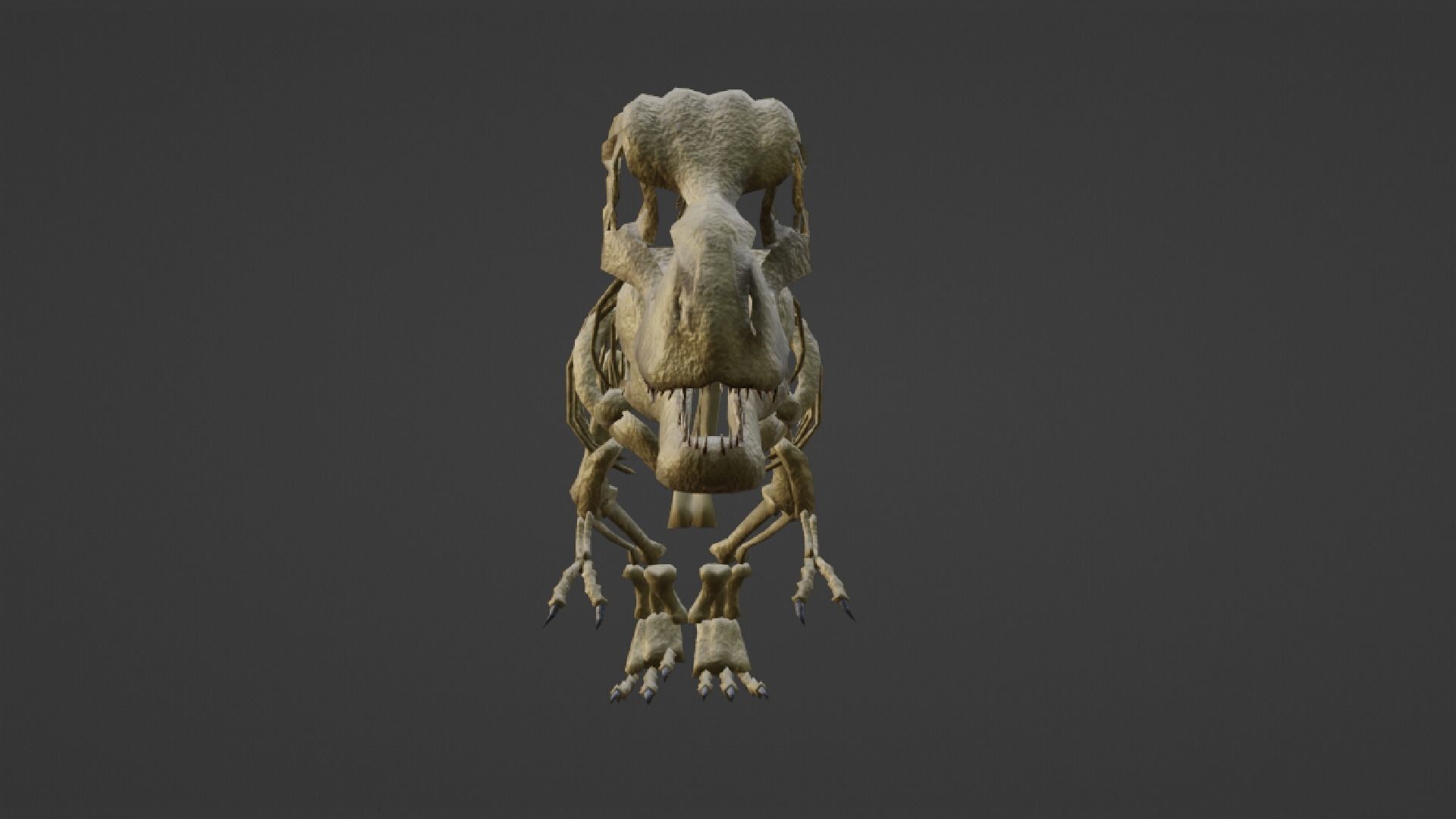 T-REX SKELETON Low-poly 3D model_22