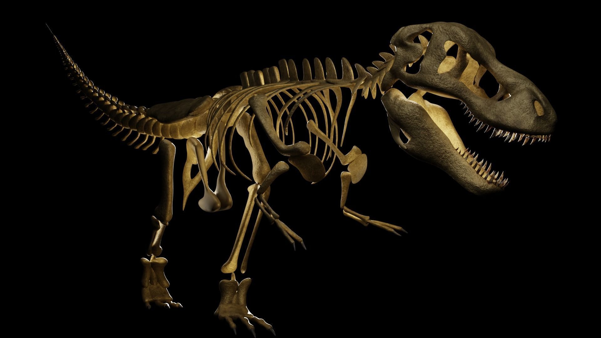 T-REX SKELETON Low-poly 3D model_1