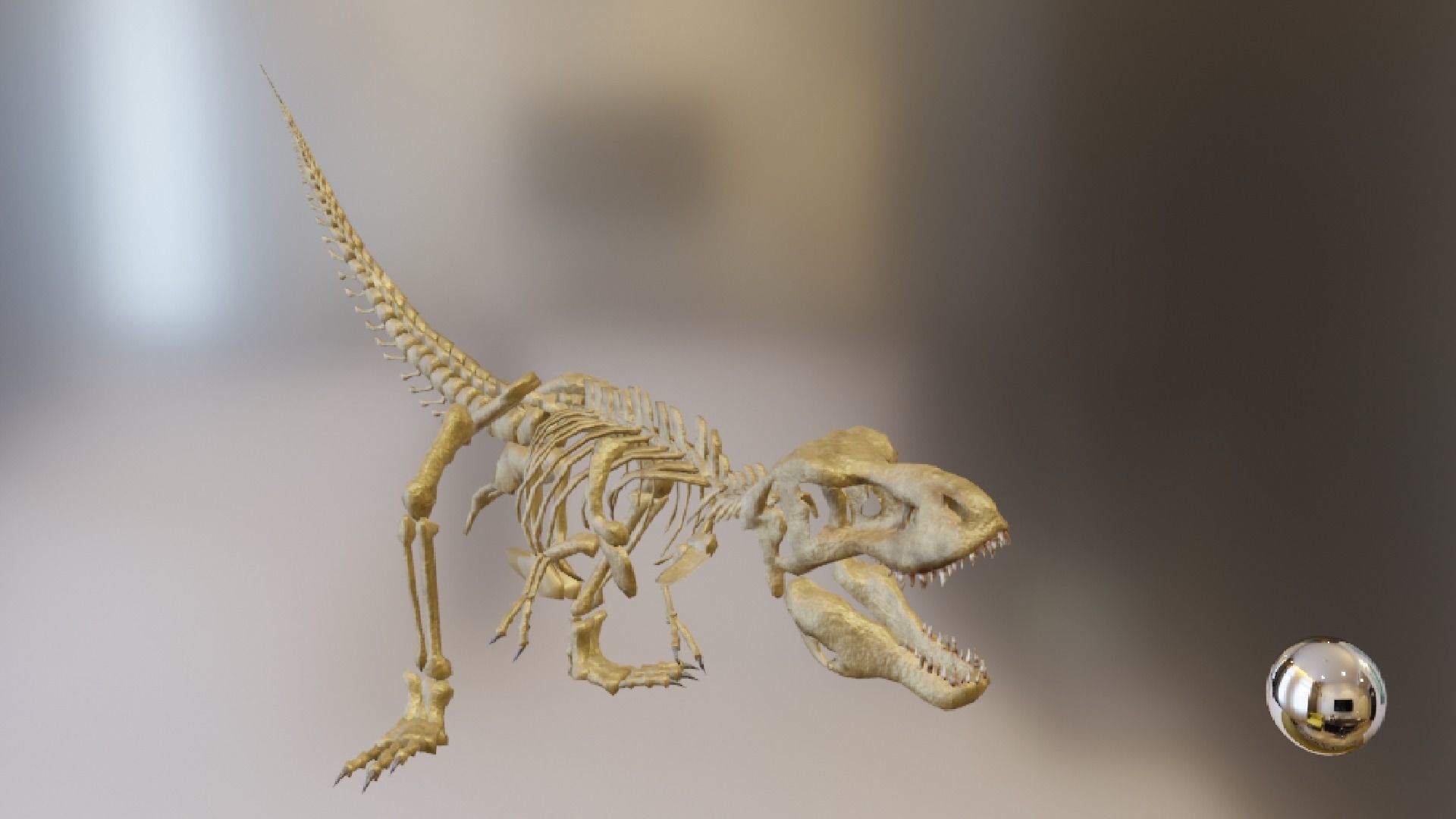 T-REX SKELETON Low-poly 3D model_7
