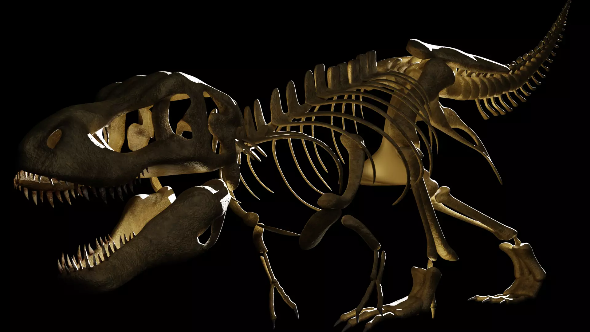 T-REX SKELETON Low-poly 3D model_0