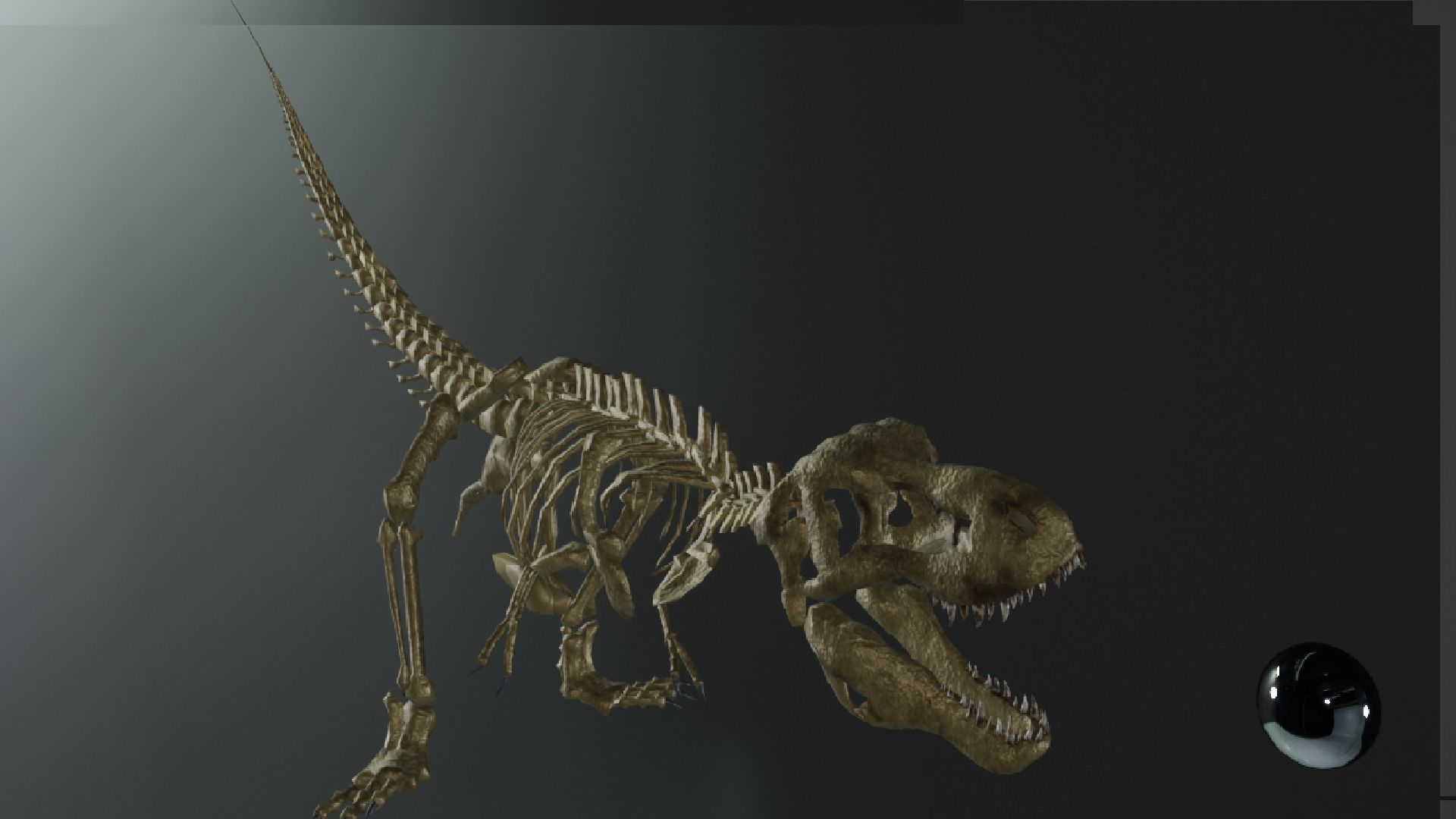 T-REX SKELETON Low-poly 3D model_5
