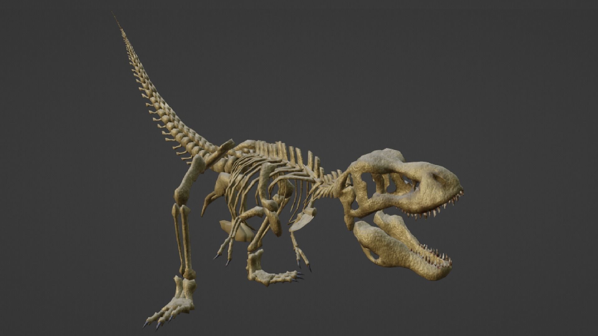 T-REX SKELETON Low-poly 3D model_18