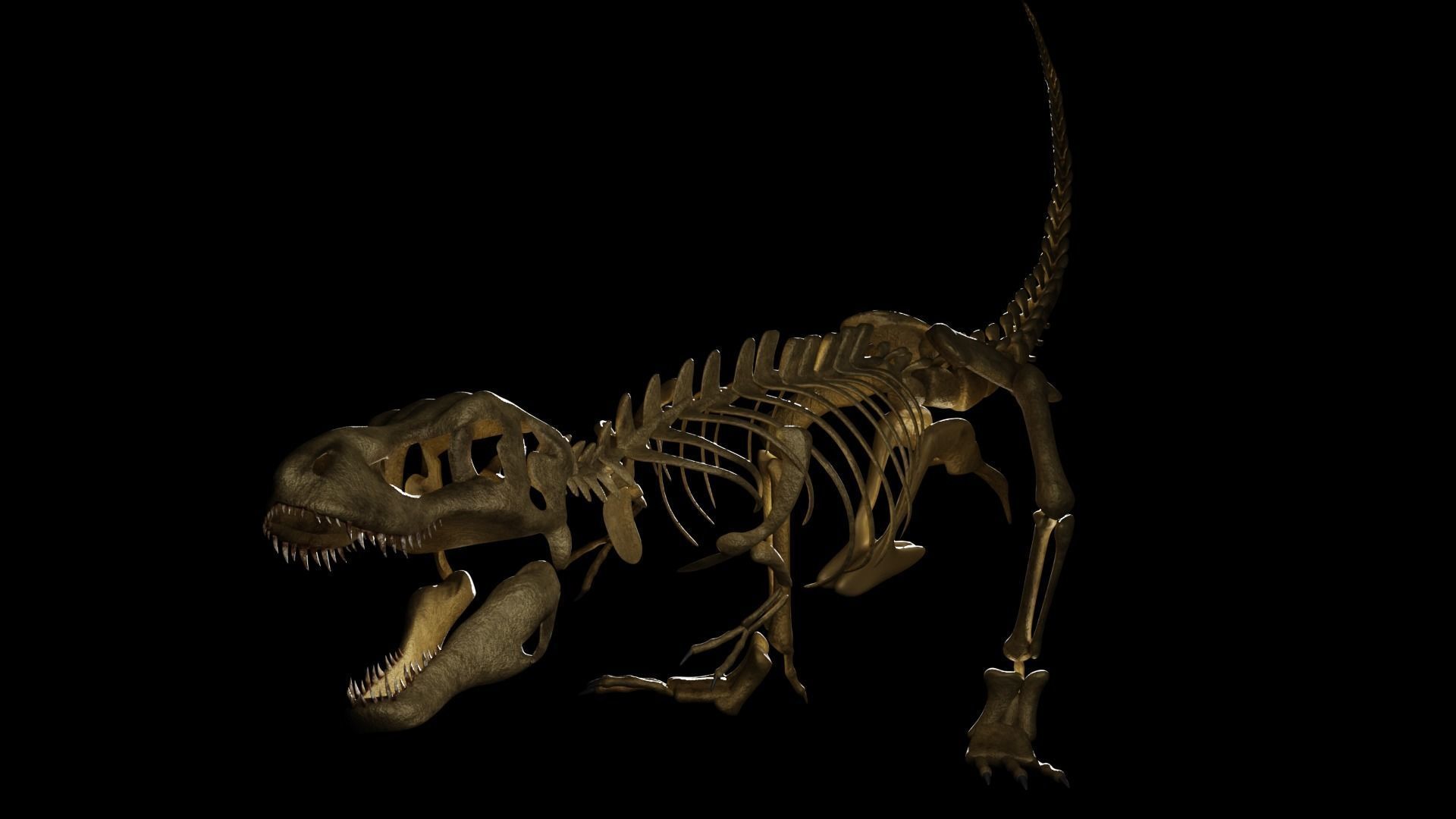 T-REX SKELETON Low-poly 3D model_4