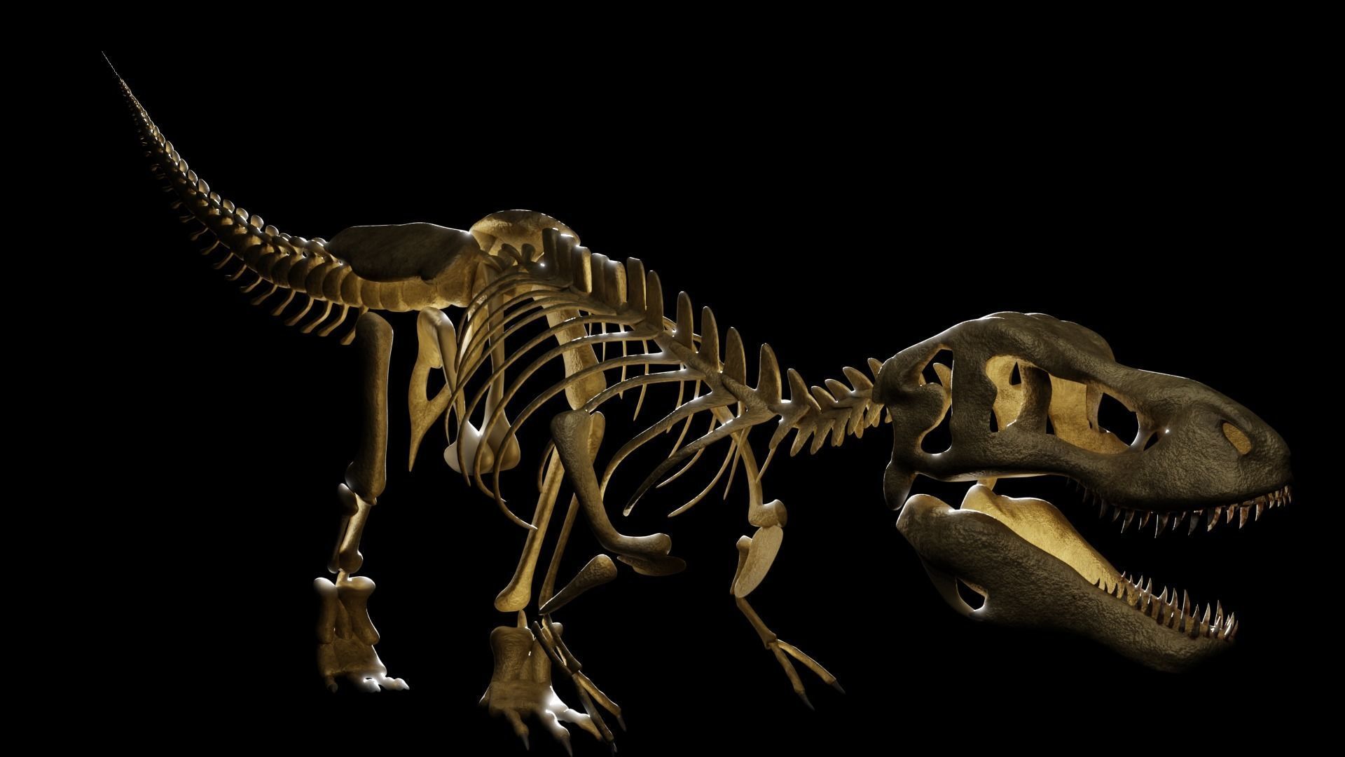 T-REX SKELETON Low-poly 3D model_2