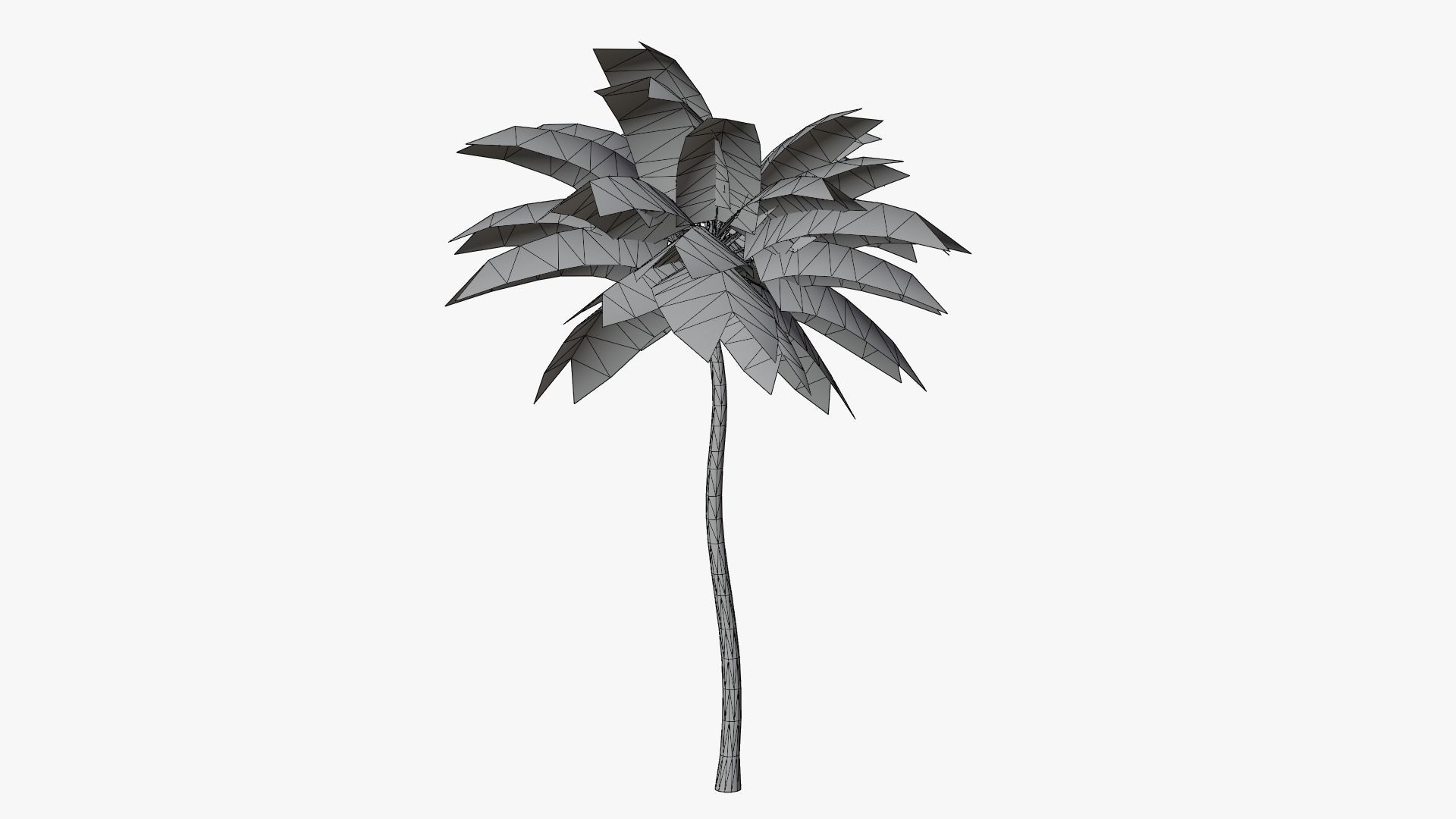 Lowpoly Coconut Palm v4 Low-poly 3D model_17
