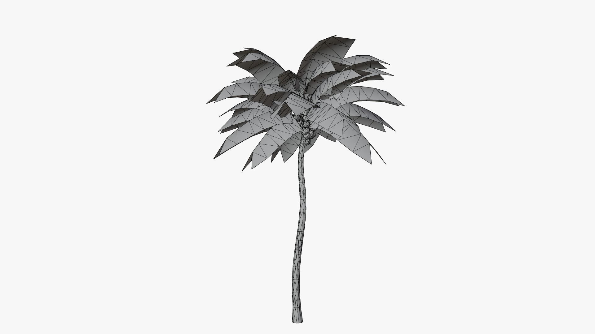 Lowpoly Coconut Palm v4 Low-poly 3D model_8
