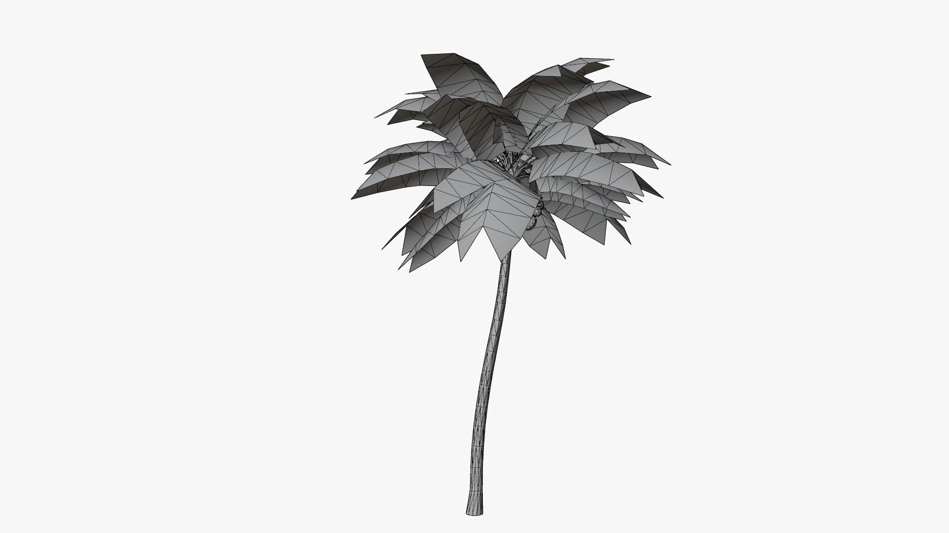 Lowpoly Coconut Palm v4 Low-poly 3D model_5