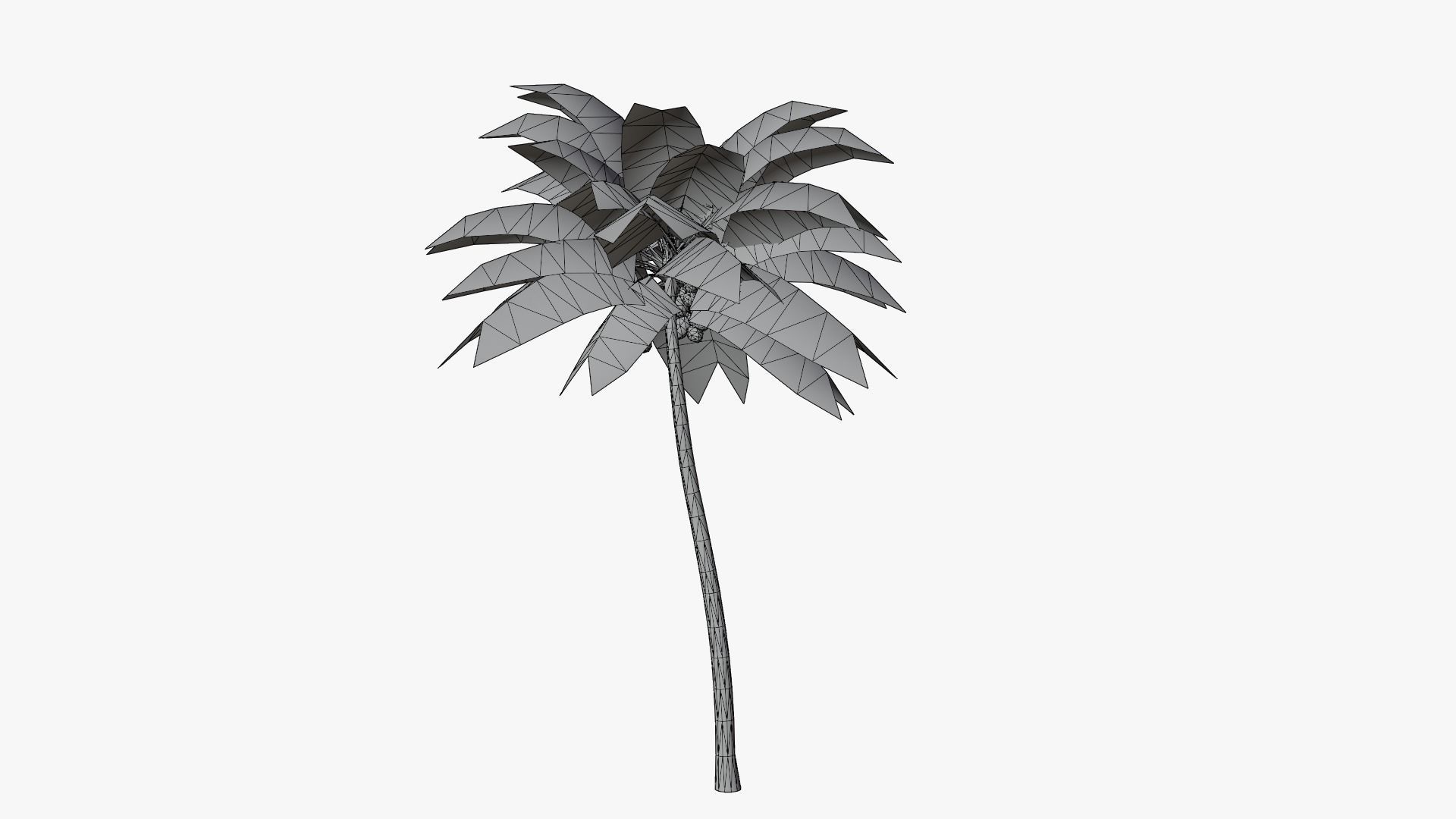 Lowpoly Coconut Palm v4 Low-poly 3D model_14
