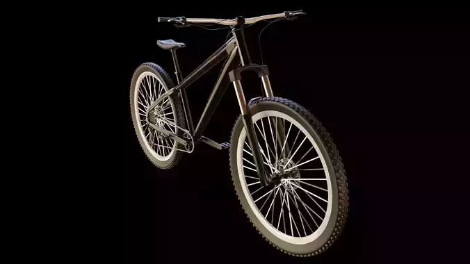 Mountain Bike MTB bicycle
