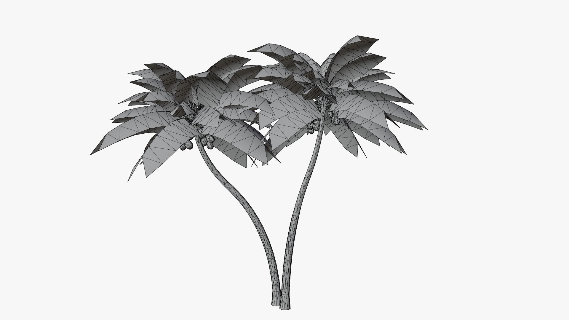 Lowpoly Coconut Palm v5 Low-poly 3D model_11