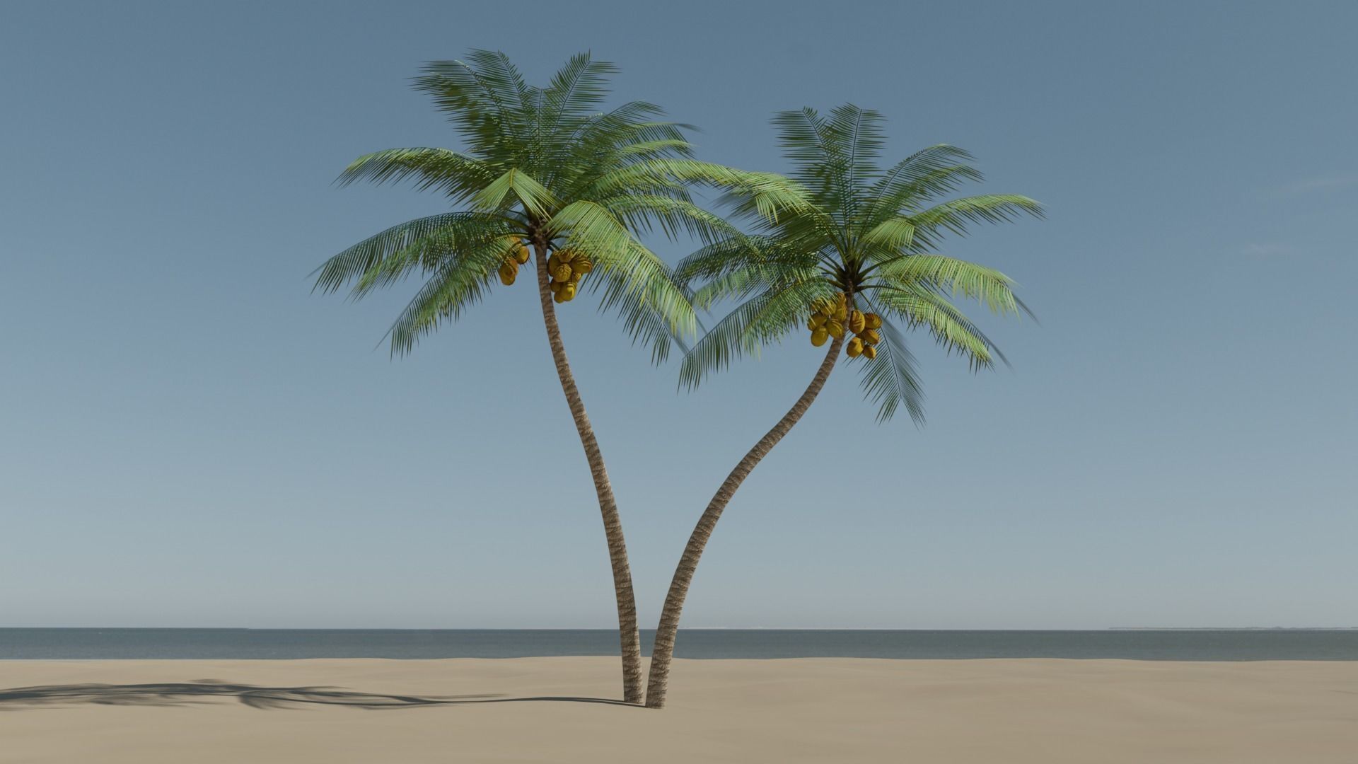 Lowpoly Coconut Palm v5 Low-poly 3D model_18