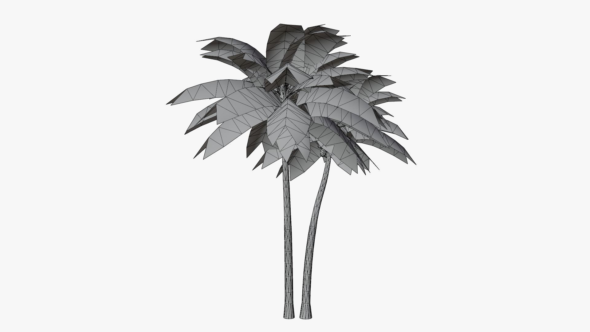 Lowpoly Coconut Palm v5 Low-poly 3D model_5