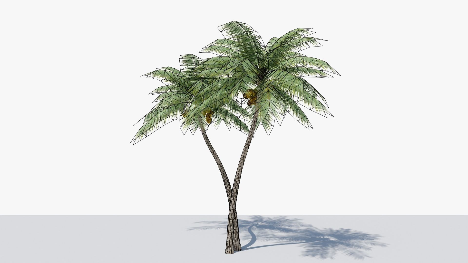 Lowpoly Coconut Palm v5 Low-poly 3D model_7