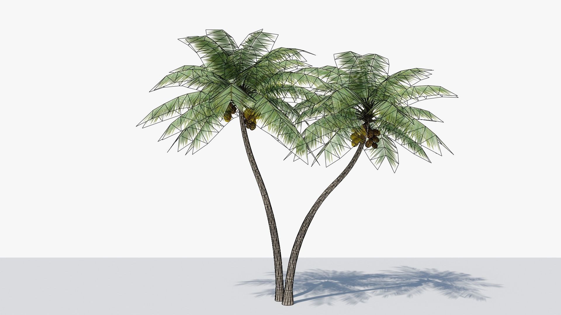 Lowpoly Coconut Palm v5 Low-poly 3D model_1