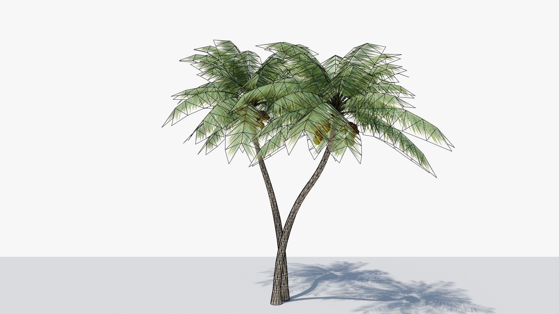 Lowpoly Coconut Palm v5 Low-poly 3D model_16