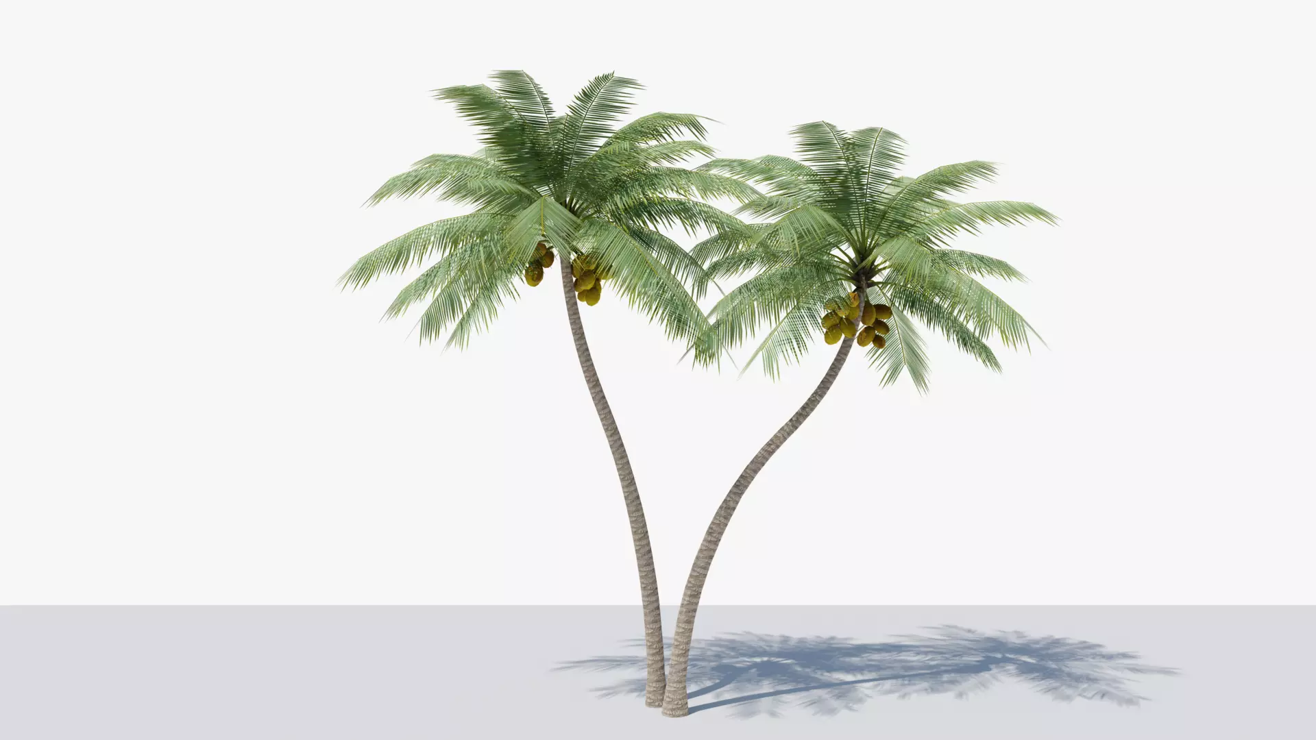 Lowpoly Coconut Palm v5 Low-poly 3D model_0